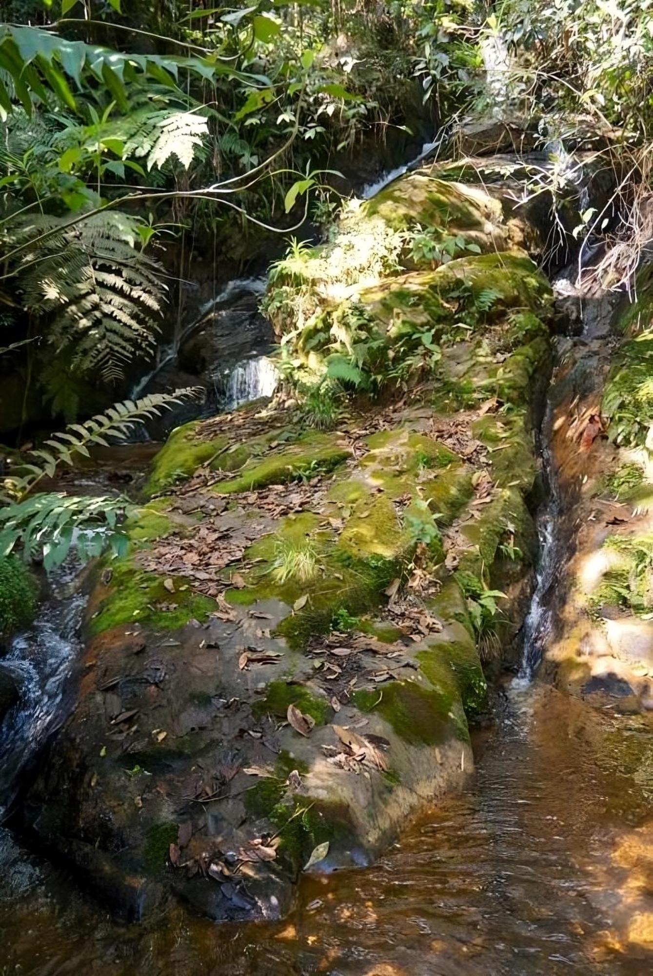 Encanto Minicasitas En Medio De La Naturaleza ซานตาเอเลนา ภายนอก รูปภาพ