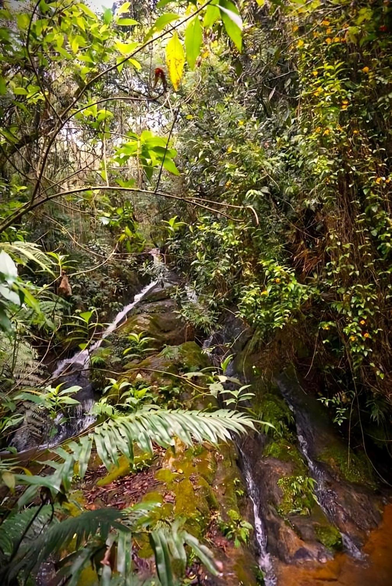 Encanto Minicasitas En Medio De La Naturaleza ซานตาเอเลนา ภายนอก รูปภาพ