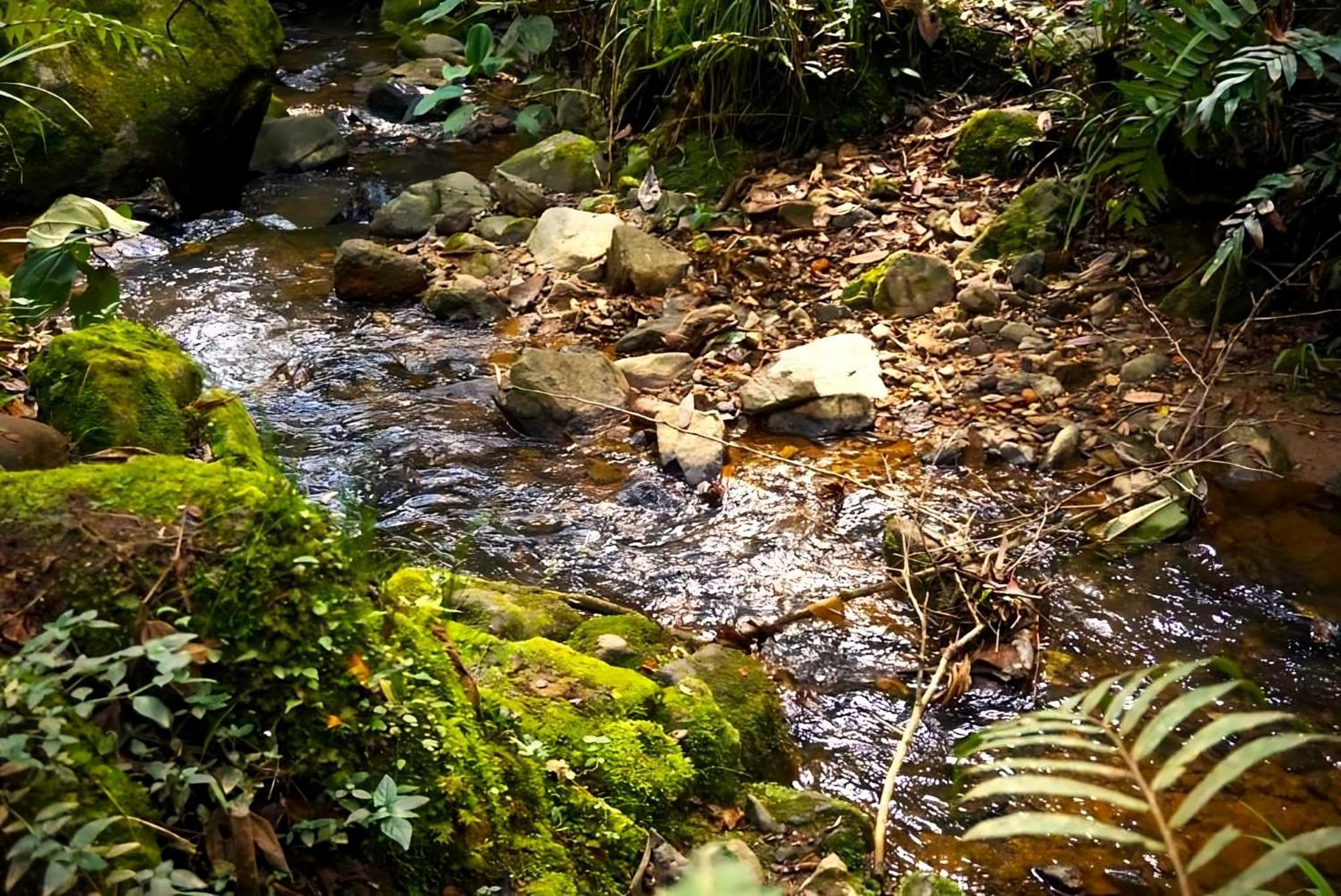 Encanto Minicasitas En Medio De La Naturaleza ซานตาเอเลนา ภายนอก รูปภาพ
