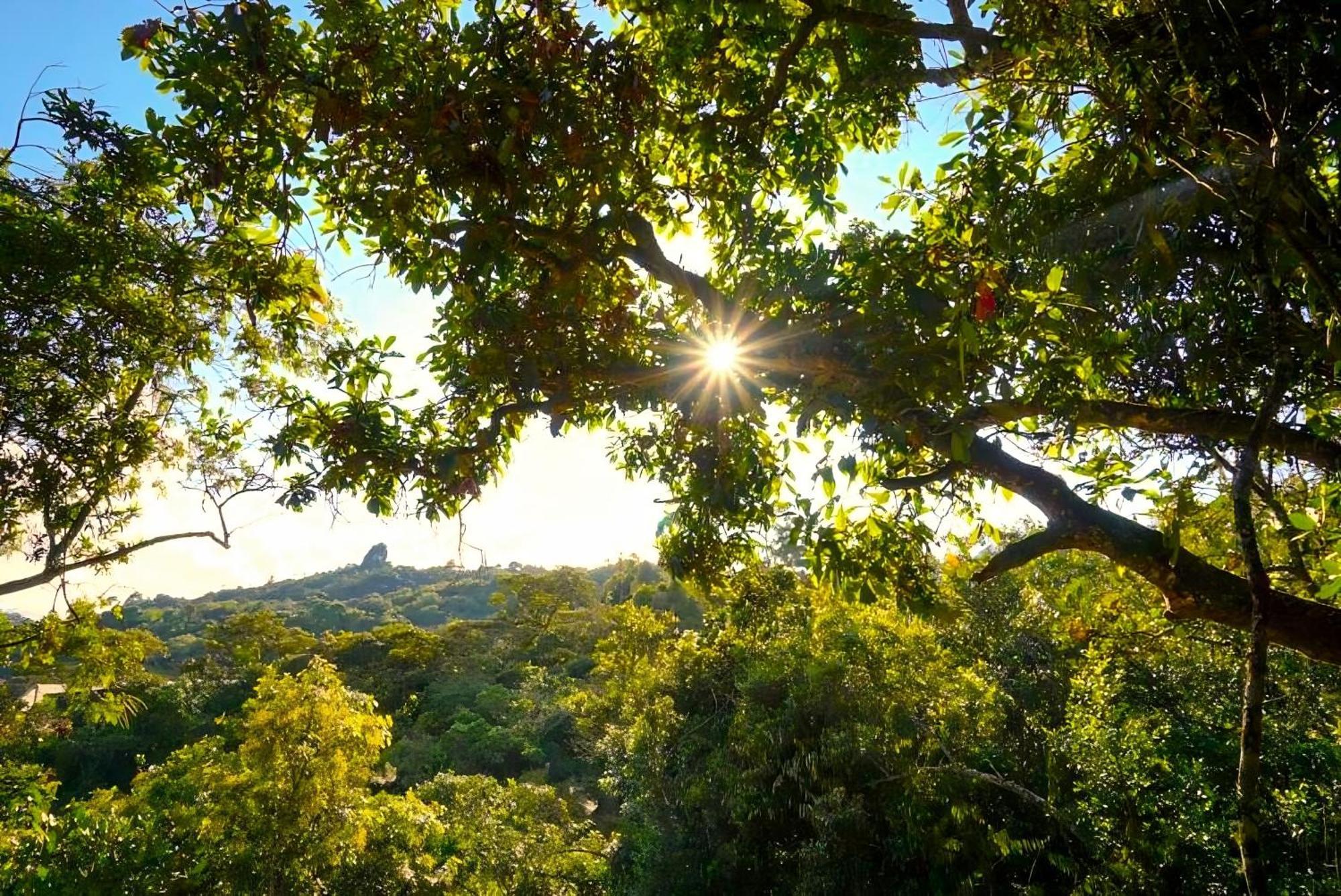 Encanto Minicasitas En Medio De La Naturaleza ซานตาเอเลนา ภายนอก รูปภาพ